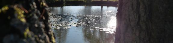 Cover picture - Sustainability